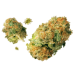 Exploring the Benefits of Canadian Online Weed Dispensaries