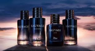 Elevate Evening Presence With the Bold Aroma of Sauvage Elixir