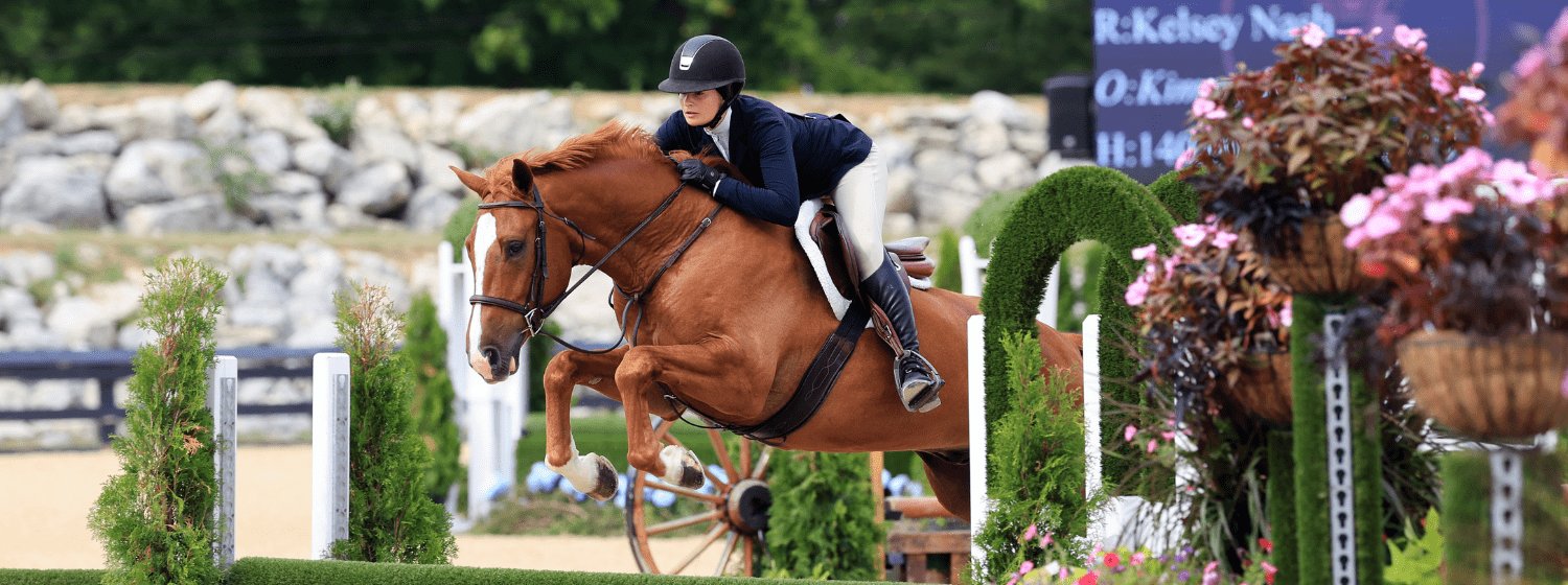 Essential Equine Facility & Event Health Test Guide