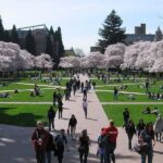 Understanding What Is A Quad In College: Complete Guide