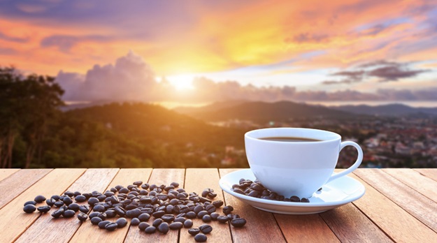 Savour Every Sip: Why More Coffee Lovers Choose to Buy Premium Coffee Online