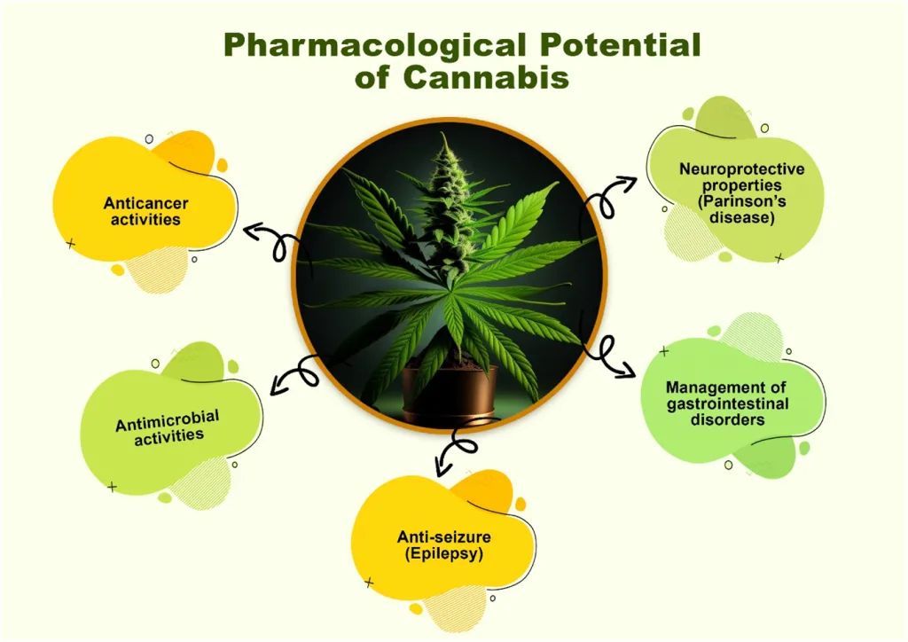 Explore Pure Cannabinoids for Scientific Research at Euro-Chem.cc