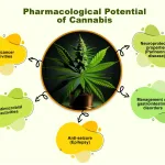 Explore Pure Cannabinoids for Scientific Research at Euro-Chem.cc